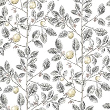 Black &amp; Grey Lemon Tree Toile Wallpaper