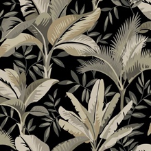 Black &amp; Grey Summerhouse Bright Floral Leaf Wallpaper