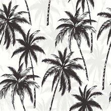 Black, Grey & White Commercial Palm Trees Wallpaper