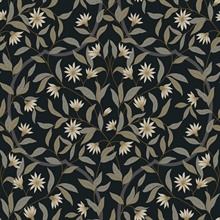 Black Jasmine Vine Leaf Wallpaper