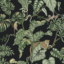 Black Jungle Cat Jaguars & Monkeys Animal Wallpaper