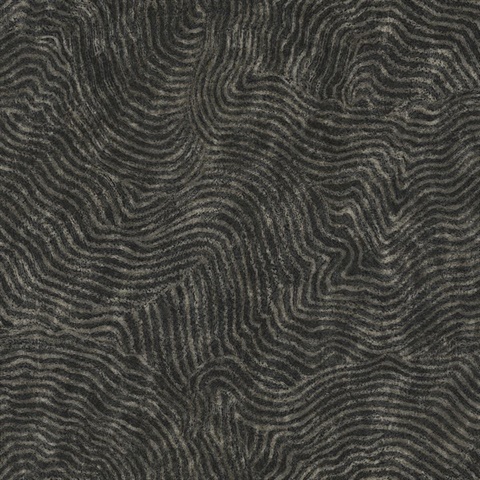 Black Modern Wood Abstract Grain Wallpaper