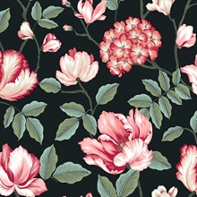 Black Morning Garden Tulip & Hydrangea Floral Wallpaper