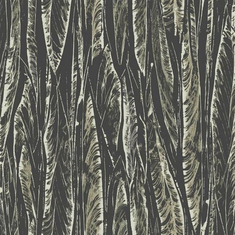 Black Native Forest Tree Leaves Wallpaper