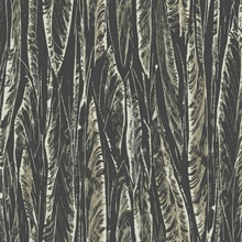 Black Native Forest Tree Leaves Wallpaper