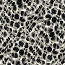 Black &amp; Off White Leopard Skin Watercolor Rosettes Wallpaper