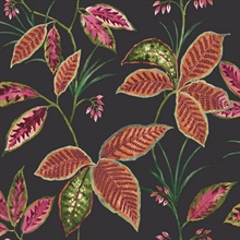 Black, Orange & Coral Commercial Leaves Wallpaper