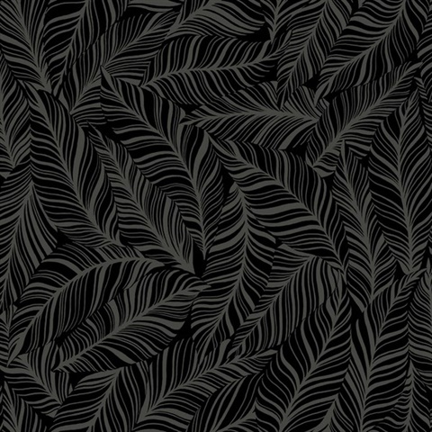 Black Rainforest Canopy Tropical Leaves Wallpaper