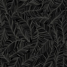 Black Rainforest Canopy Tropical Leaves Wallpaper