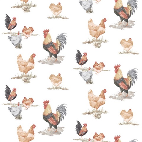 Black & Red Free Range Illustrated Chicken Wallpaper
