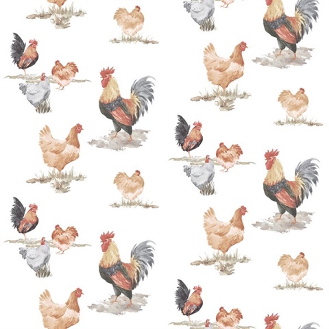 Black & Red Free Range Illustrated Chicken Wallpaper