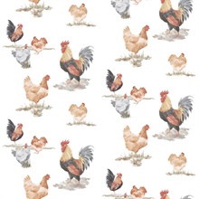 Black & Red Free Range Illustrated Chicken Wallpaper