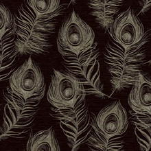 Black Regal Peacock Feather Faux Silk Wallpaper
