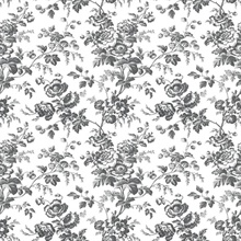 Black & White Anemone French Vine Toile Wallpaper