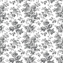 Black &amp; White Anemone French Vine Toile Wallpaper