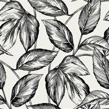 Black & White Beckett Sketched Leaves Wallpaper
