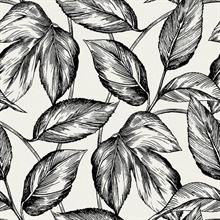 Black &amp; White Beckett Sketched Leaves Wallpaper