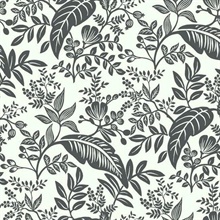 Black & White Canopy Flowers and Leaves Rifle Paper Wallpaper