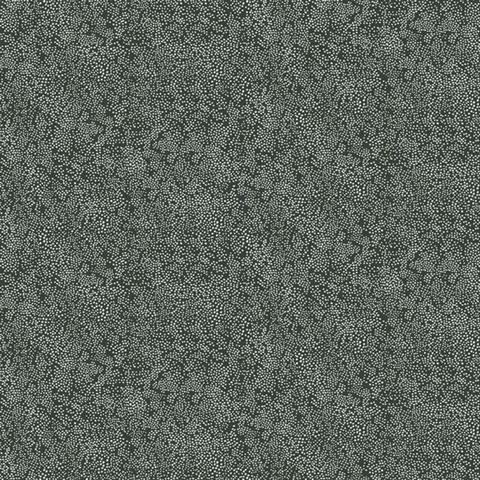 Black & White Champagne Metallic Polka Dots Rifle Paper Wallpaper