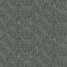 Black & White Champagne Metallic Polka Dots Rifle Paper Wallpaper