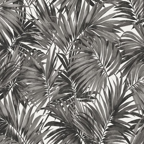 Black & White Cordelia Tossed Palms Wallpaper