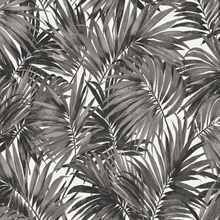Black &amp; White Cordelia Tossed Palms Wallpaper