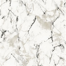 Black & White Faux Marble Wallpaper
