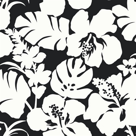 Black & White Hibiscus Arboretum Flower Wallpaper
