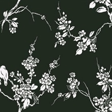 Black &amp; White Imperial Floral Blossoms Branch Prepasted Wallpaper