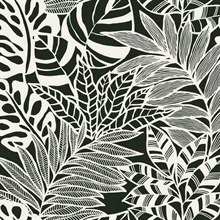 Black & White Jungle Leaves Wallpaper
