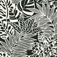 Black &amp; White Jungle Leaves Wallpaper