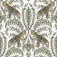 Black & White Jungle Leopard & Leaf Wallpaper