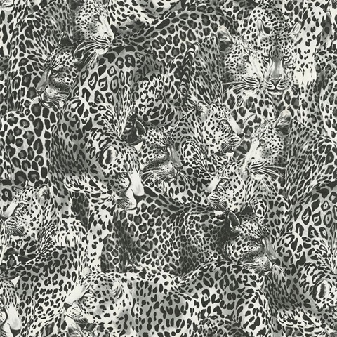 TCW007TCAHOUL030| Black & White Leopard Face Toile Wallpaper