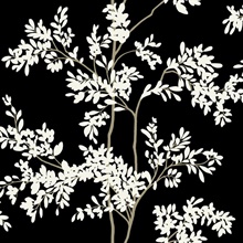 Black &amp; White Lunaria Leaf &amp; Branches Wallpaper