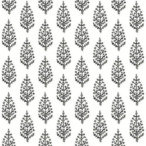 Black & White Paisley On Calico Wallpaper