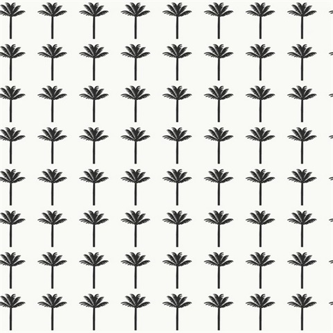 Black & White Palm Bay Wallpaper