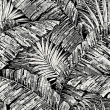 Black & White Palm Leaf Toile Wallpaper
