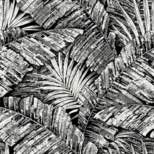 Black &amp; White Palm Leaf Toile Wallpaper