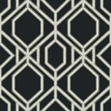 Black &amp; White Sawgrass Trellis Geometric Hexagon Wallpaper