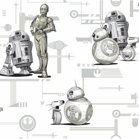 Black & White Star Wars: The Rise of Skywalker, Droids! Wallpaper
