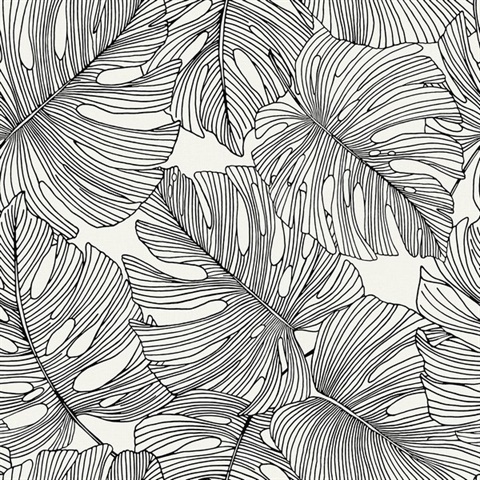 Black & White Tarra Monstera Large Leaf Wallpaper