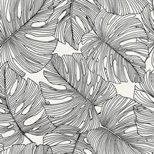 Black &amp; White Tarra Monstera Large Leaf Wallpaper