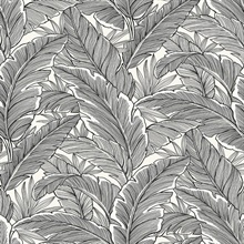 Black & White Tropical Banana Leaves Wallpaper