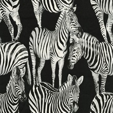 Black & White Zebra Toile Contrasto Wallpaper