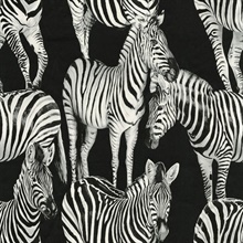 Black &amp; White Zebra Toile Contrasto Wallpaper