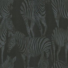 Black Zebra Toile Misterioso Wallpaper