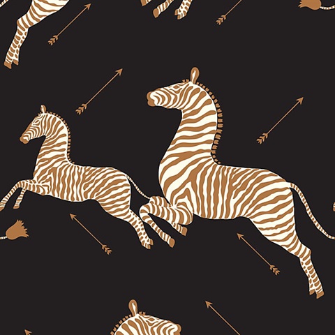 Black Zebra Wallpaper