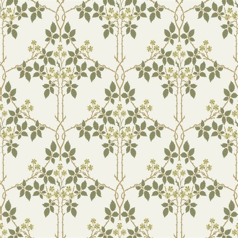 Blackberry Chartreuse Vine Trellis Wallpaper