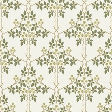 Blackberry Chartreuse Vine Trellis Wallpaper