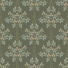 Blackberry Grey Vine Trellis Wallpaper